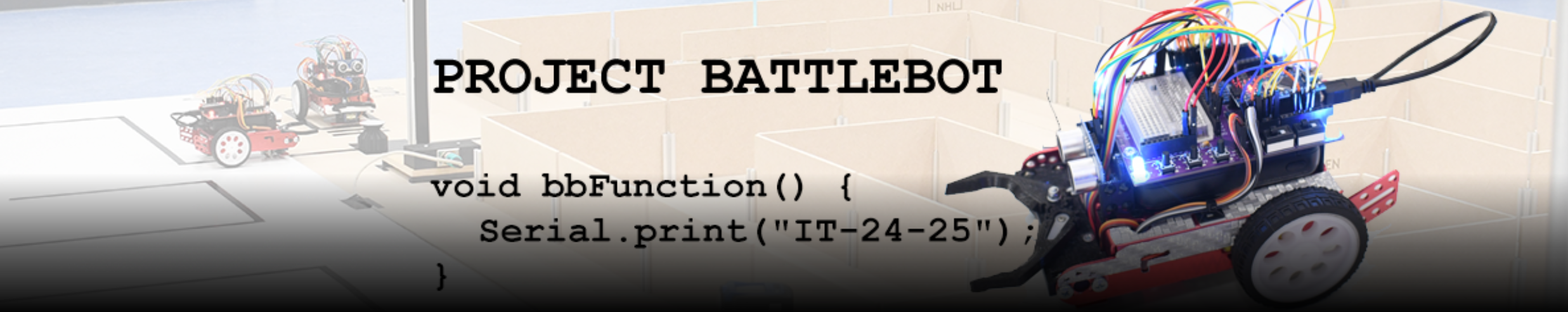 Project Battlebots